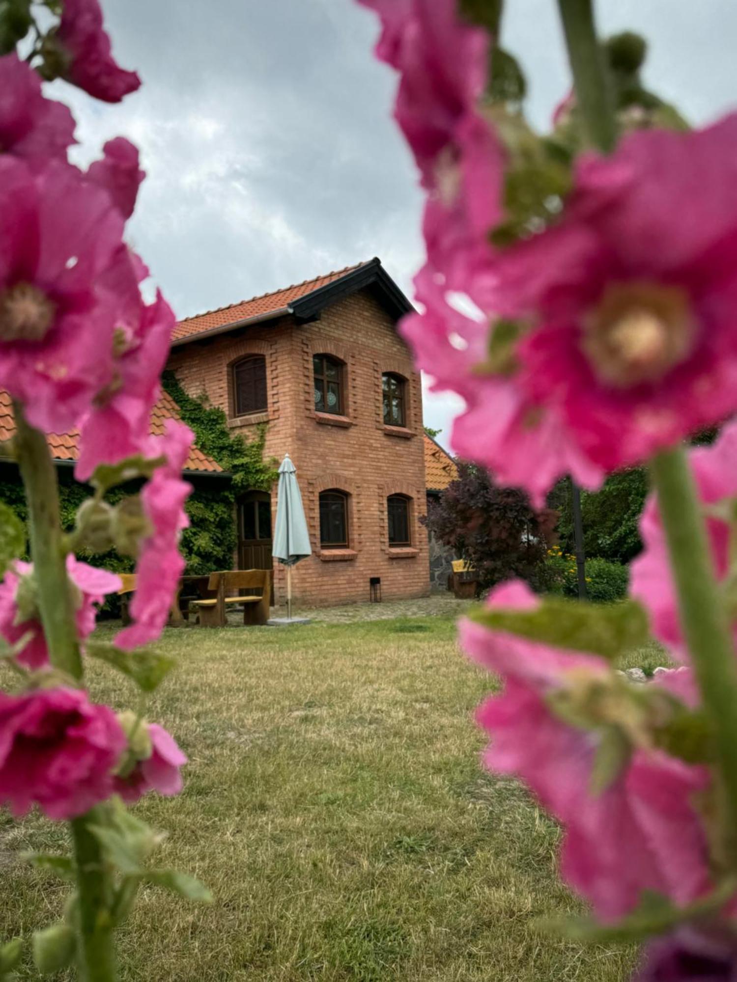 Вилла Siedlisko Na Gorce Zalec Экстерьер фото